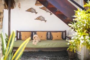 Posezení v ubytování Mandala Hostel Jeri