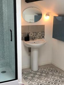 un baño con lavabo y espejo en Le Cosy - Domaine du Vertendre, en Saint-Yrieix-la-Perche