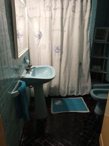 baño con lavabo y cortina de ducha en El Descanso en Lobos