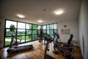 Fitness centrum a/nebo fitness zařízení v ubytování Lo Scoiattolo Piedmont Bike Hotel