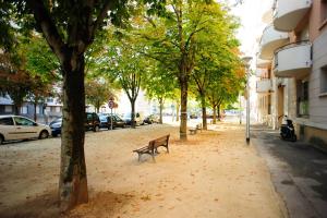 a park bench sitting on a sidewalk next to trees at Une bulle de quiétude proche de Paris et Créteil in Bonneuil-sur-Marne