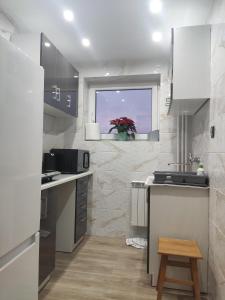 a kitchen with a counter and a sink and a window at Pokoje Gościnne Janina in Zakopane