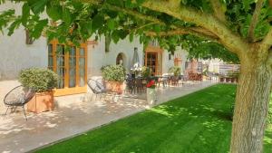 einen Garten mit Stühlen, Tischen und einem Baum in der Unterkunft Les Loges de Saint Eloi- Gîtes in Pontlevoy