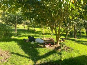 a person laying in the grass under a tree at Casita Agrreste in Nemocón