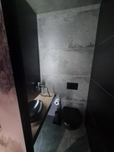 Łazienka w obiekcie Domki PRemium