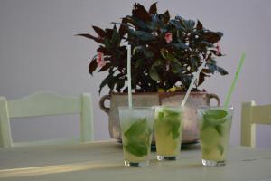a table with three glasses and a potted plant at Dimitra Hotel in Kamena Vourla