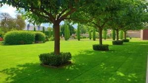 a group of trees in a field of grass at Les Loges de Saint Eloi in Pontlevoy