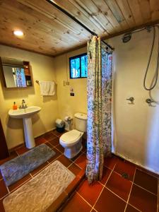 a bathroom with a toilet and a sink and a shower at Casita Agrreste in Nemocón