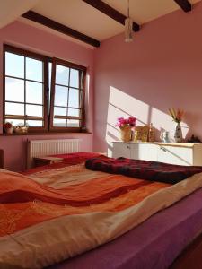 een groot bed in een kamer met roze muren bij Przytulne mieszkanie w sercu Kaszub in Wąglikowice