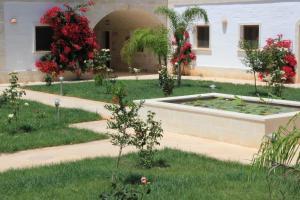 A garden outside Masseria Zambardo