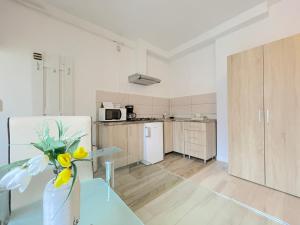 Dapur atau dapur kecil di Livada Studio Apartments