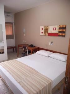 una camera da letto con un letto, un tavolo e una scrivania di Água Branca Park Hotel ad Araçatuba Altre 31 foto