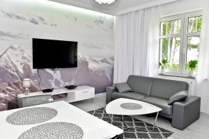 Televízia a/alebo spoločenská miestnosť v ubytovaní Apartament w Chmurach - Apartamentuj