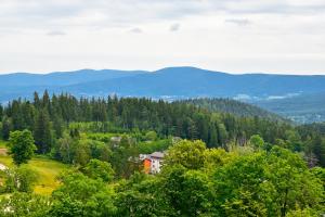 Príroda v okolí apartmánu