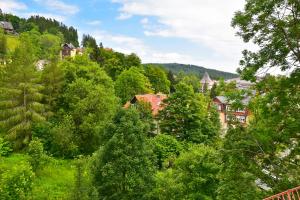 Príroda v okolí apartmánu