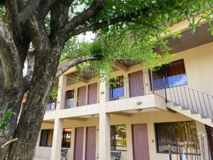 a building with a tree in front of it at Hotel Real Alaska in Liberia