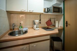 un bancone della cucina con lavello e forno a microonde di Ferienwohnung-Kopprasch a Dresda