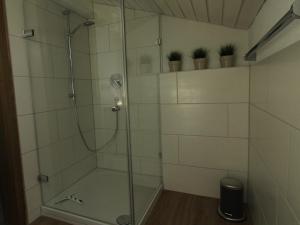y baño con ducha y puerta de cristal. en Apartment inzellreif, en Inzell