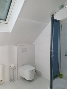 uma casa de banho branca com um WC e um chuveiro em Пансіон АГАВА em Novovolynsʼk