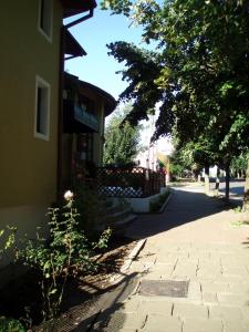 エフォリエ・スドにあるPension Edelweissの木の並ぶ歩道