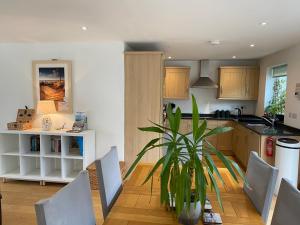 Gallery image of Ohana House in Newquay