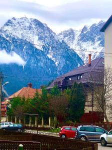 a view of a snow covered mountain with cars parked at Cosy Apart Busteni in Buşteni