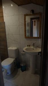 Bagno di Mansarda Kazbegi