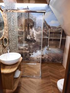 uma casa de banho com um chuveiro e um lavatório. em Apartamenty Małe Ciche em Małe Ciche