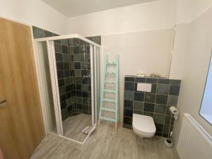 een badkamer met een douche, een toilet en een ladder bij LIP no.15 in Lipno nad Vltavou