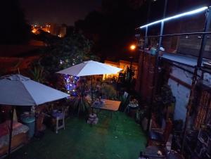 Gambar di galeri bagi Selva Hospedaje di Valparaíso