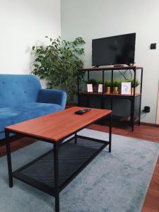 uma sala de estar com um sofá azul e uma mesa de centro em Apartament Santo Bartolomeo em Toruń