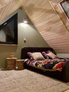 sypialnia z kanapą i telewizorem na poddaszu w obiekcie Zalesie Łany w mieście Zalesie