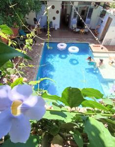 ein Pool mit zwei Personen im Hinterhof in der Unterkunft Hotel Casa de Verano - Solo adultos - in Santa Fe de Antioquia