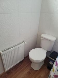 a bathroom with a white toilet and a radiator at Cabañas Pidén in Punta Arenas