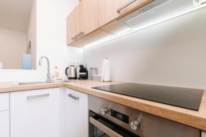 Kuchyň nebo kuchyňský kout v ubytování Apartment Hugo Klínovec