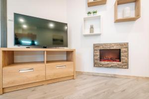 TV a/nebo společenská místnost v ubytování Apartment Hugo Klínovec