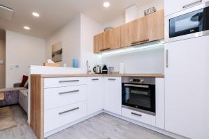 Kuchyň nebo kuchyňský kout v ubytování Apartment Hugo Klínovec