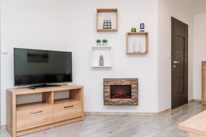 TV a/nebo společenská místnost v ubytování Apartment Hugo Klínovec