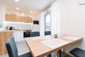 Kuchyň nebo kuchyňský kout v ubytování Apartment Hugo Klínovec