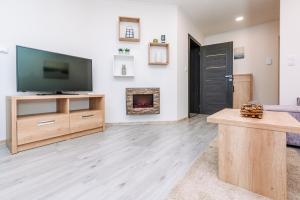 TV a/nebo společenská místnost v ubytování Apartment Hugo Klínovec