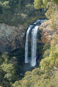 a waterfall in the middle of a forest at Little Styx River Cabin - The Hilton in Ebor +3 photos