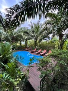 a swimming pool with lounge chairs and a wooden deck at Khaosok Good view Resort - SHA PLUS in Khao Sok