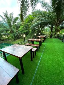 Khaosok Good view Resort - SHA PLUS外面的花园