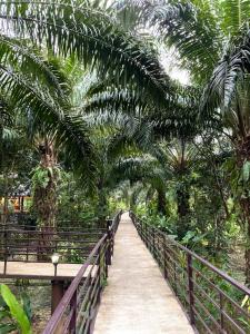 Khaosok Good view Resort - SHA PLUS外面的花园