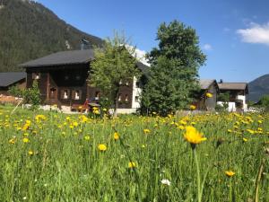 ein Blumenfeld vor einem Haus in der Unterkunft Ferienhaus Kathrili Gaschurn in Gaschurn