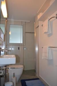 een badkamer met een wastafel, een toilet en een douche bij Elfe-apartments cozy apartment with lake view for 6-7 guests in Emmetten