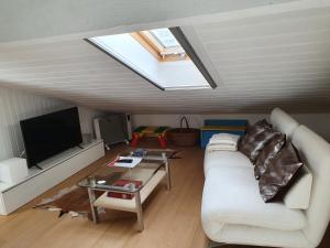 a living room with a white couch and a skylight at Elfe - Apartments Studio apartment for 2-4 guests with panorama view in Emmetten