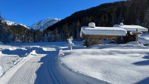 冬天的Chalet Le R'Posiao