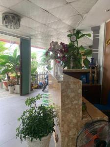 Happy Hotel Binh Tan في مدينة هوشي منه: غرفة مع منضدة مع مجموعة من النباتات