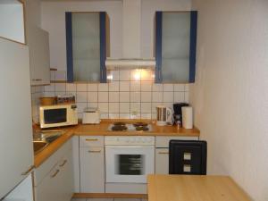 Apartment-EG-06 في دارمشتات: مطبخ صغير مع موقد وميكروويف